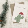 Christmas card cactus