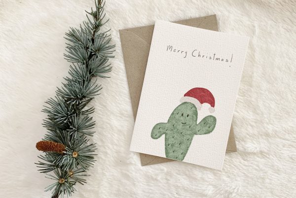 Christmas card cactus